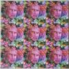 Blotter Art Albert Hofmann Celebration Pink 9 Panel