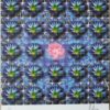 Blotter Art Pink Lotus Flower by Lucifer Signed & Numbered /100