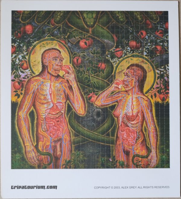 Blotter Art Tripatourium Adam and Eve by Alex Grey