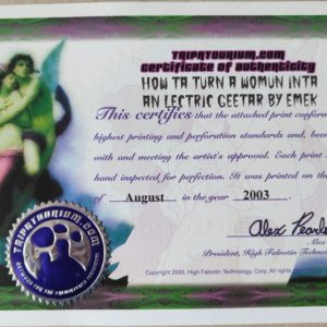Alternative view of Blotter Art Tripatourium How Ta Turn A Womun Inta An Lectric Geetar By EMEK